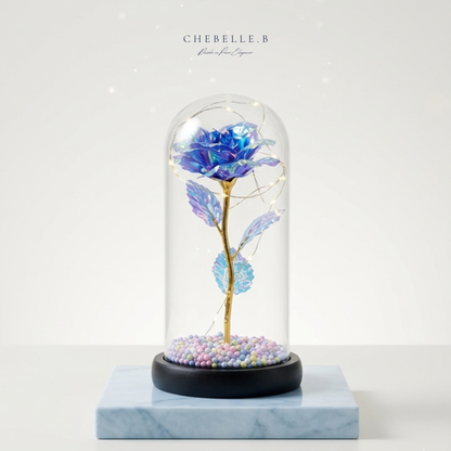 Premium Preserved Rose in Glass Dome (Not For Sale) Chebelle.B
