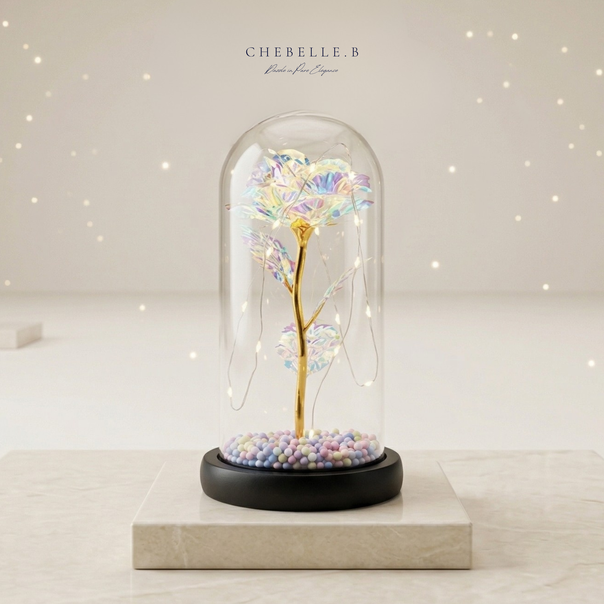 Premium Preserved Rose in Glass Dome (Not For Sale) Chebelle.B