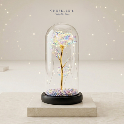 Premium Preserved Rose in Glass Dome (Not For Sale) Chebelle.B